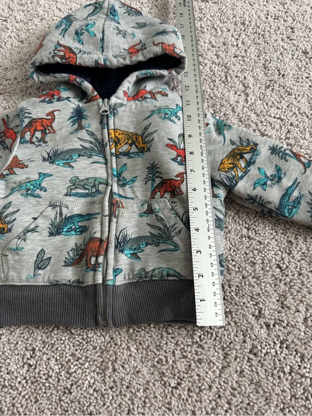 The Children's Place Boy Toddler Long Sleeve Sherpa Lined Hoodie Size 18-24M